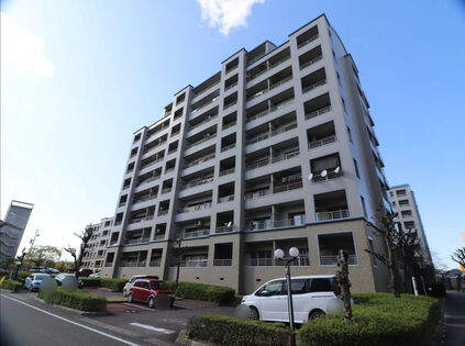 外観 外観