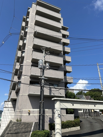 フローレンス矢野南