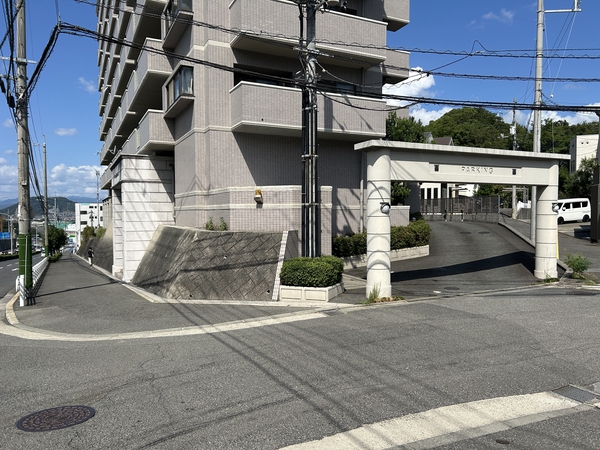 フローレンス矢野南