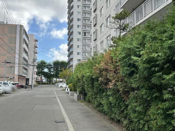 コープ野村南郷通