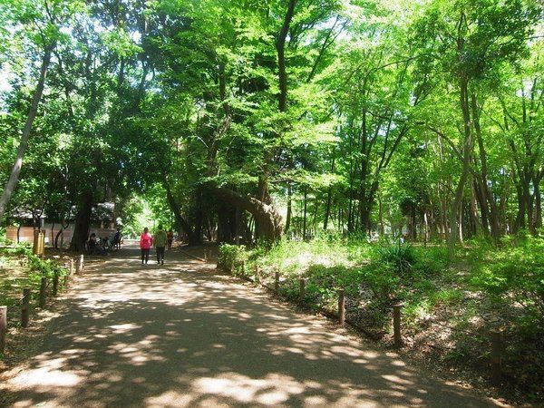 林試の森公園も徒歩圏内の好立地 林試の森公園も徒歩圏内の好立地