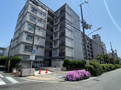 リブコート 苦 コレクション 楽園