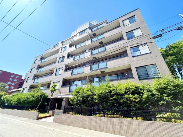 ドミール南16条