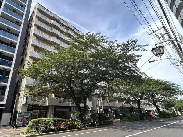 【オリンピックマンション桜台第2】外観