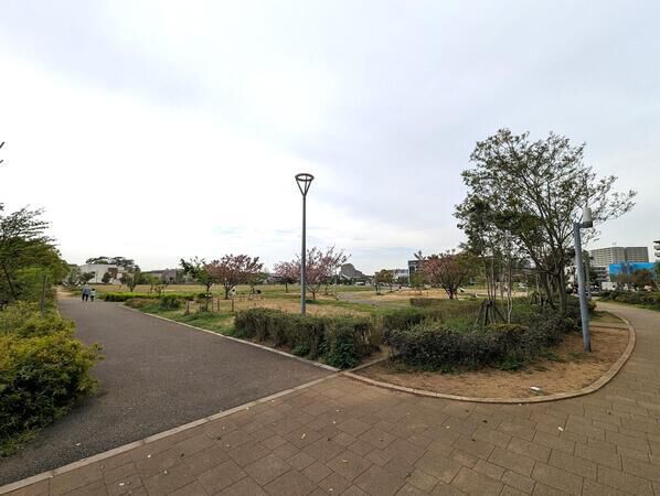 谷津奏の杜公園