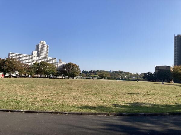 大島小松川わんさか広場