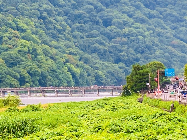 渡月橋まで約560ｍ