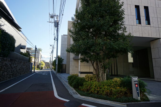 東道路の雰囲気