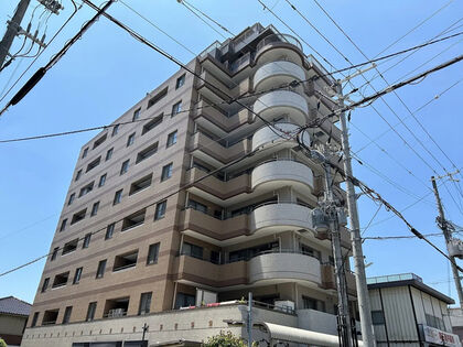 外観 外観