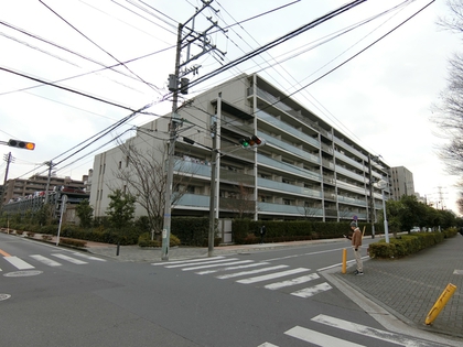 外観 外観