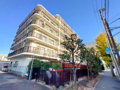 外観 外観