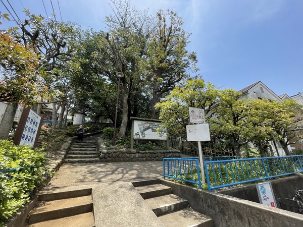 たぬきやま公園