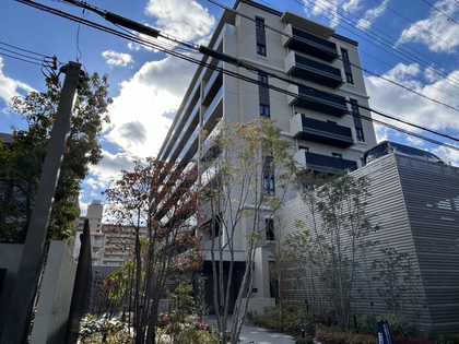 外観 外観