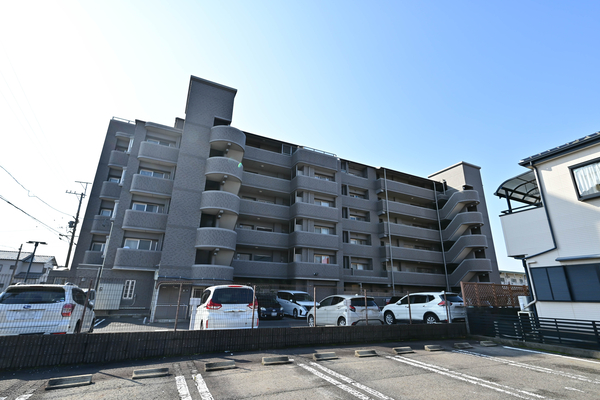 【モアグレース石刀】外観 【モアグレース石刀】外観