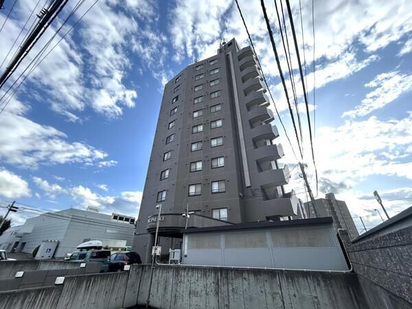 ビッグパレスひばりが丘