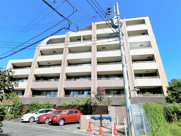 サンクタス菊名リネアストリシア 2枚目 サンクタス菊名リネアストリシア