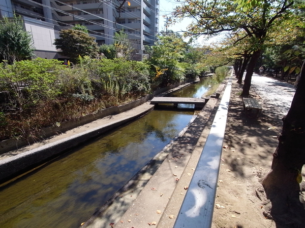 仙台堀川公園 仙台堀川公園