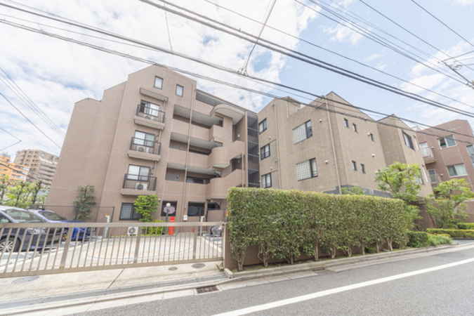 アデニウム文京本駒込