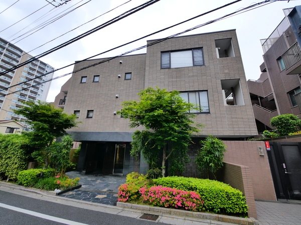 アデニウム文京本駒込