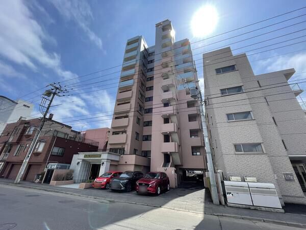 ダイアパレス南円山通