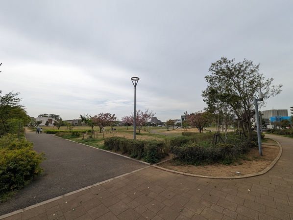 谷津奏の杜公園