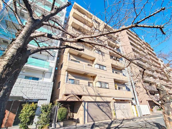 【メゾンデラビル巣鴨】外観