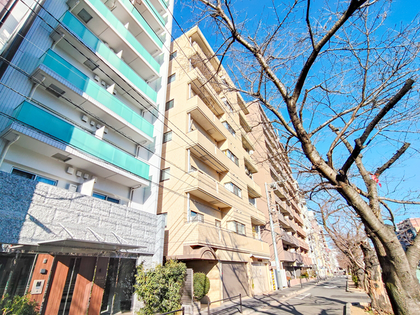 【メゾンデラビル巣鴨】外観