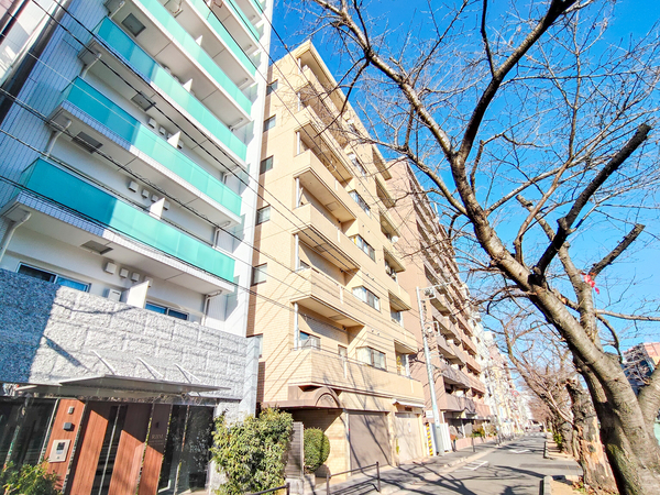 【メゾンデラビル巣鴨】外観 【メゾンデラビル巣鴨】外観