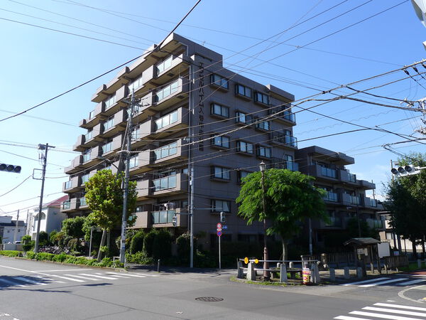 エンゼルハイム入谷中央公園 2枚目 エンゼルハイム入谷中央公園