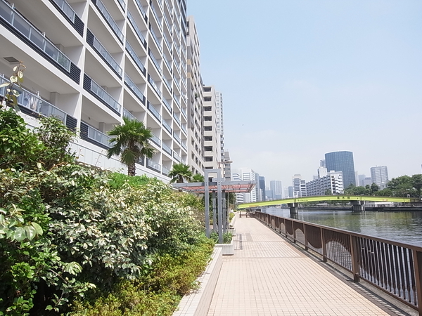 キャナルサイドの遊歩道（当マンション前面）