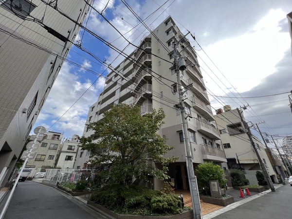 メゾンヴェール向島 2枚目 メゾンヴェール向島