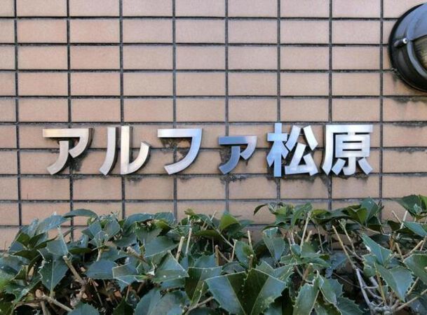 【アルファ松原】エンブレム