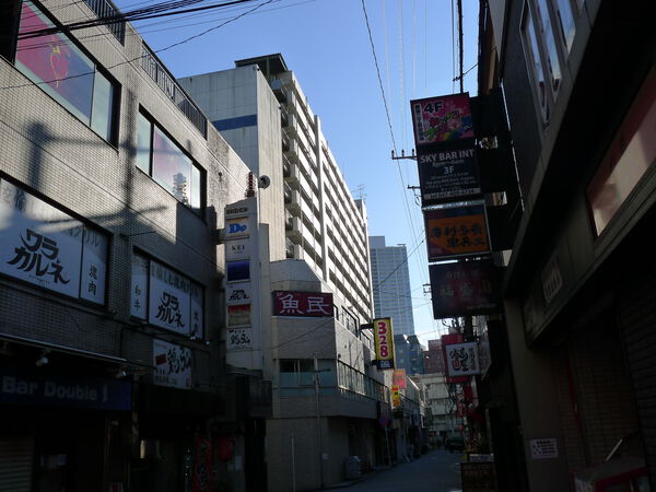ダイアパレス津田沼