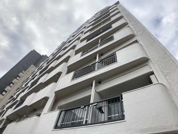 シャンボール上馬