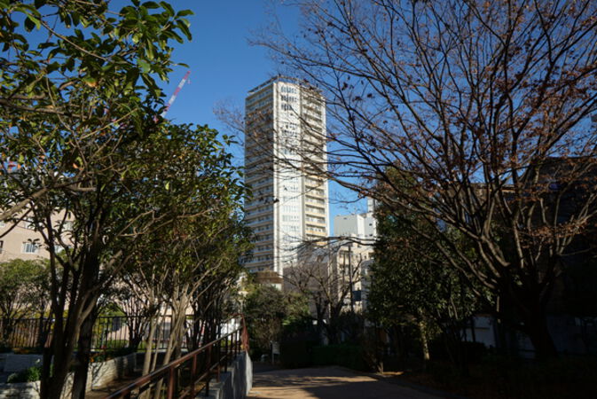 現地より約160ｍの区立高輪公園より当タワーを望む