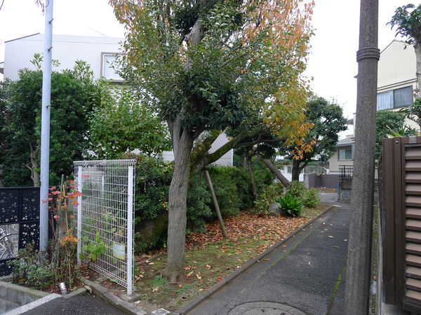 マンション南馬込台 2枚目 マンション南馬込台