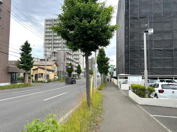 東急ドエルアルス南白石 4枚目 東急ドエルアルス南白石