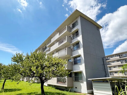 12号棟 外観 12号棟 外観