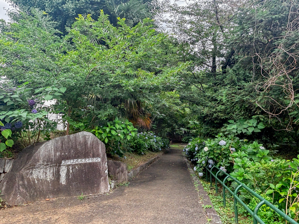玉川上水永泉寺緑地まで約240m(徒歩3分)
