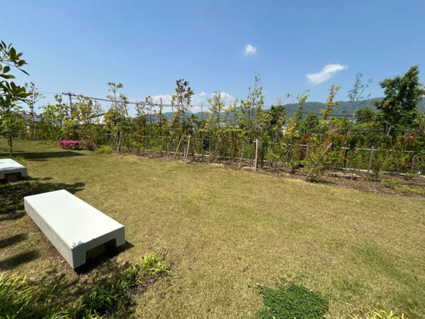 【Brillia夙川高塚町東棟】ガーデンスペース