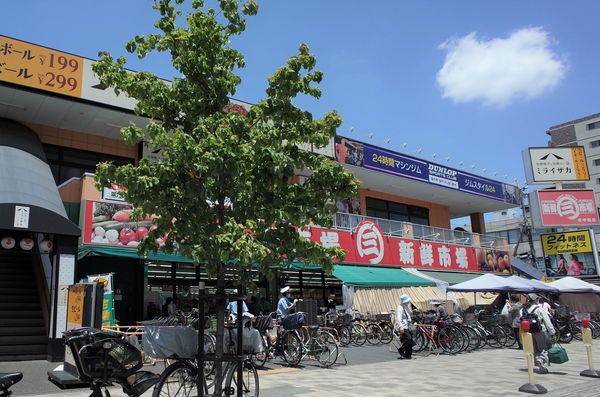 小手指駅 埼玉県 の一戸建て購入情報 三井のリハウス