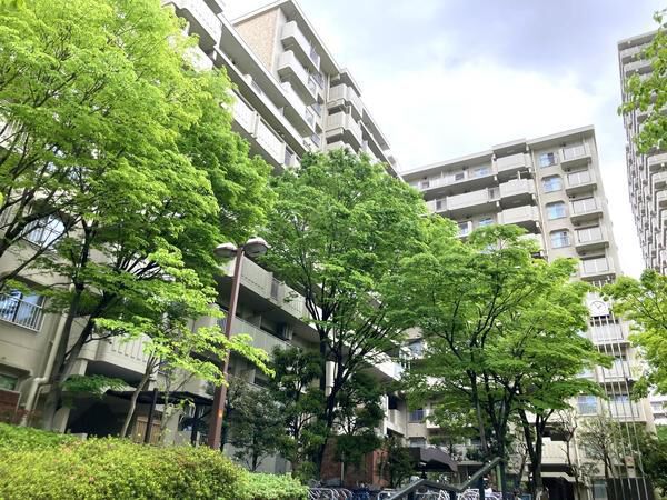 清新中央ハイツ 1号棟 外観 清新中央ハイツ 1号棟 外観
