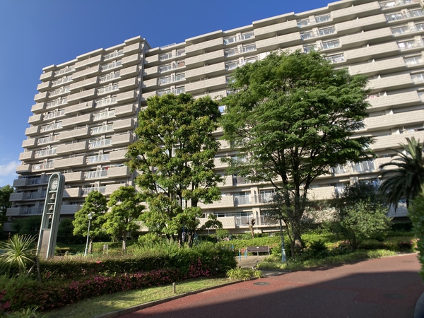 サンパセオ新柏D号館 外観写真 サンパセオ新柏D号館 外観写真