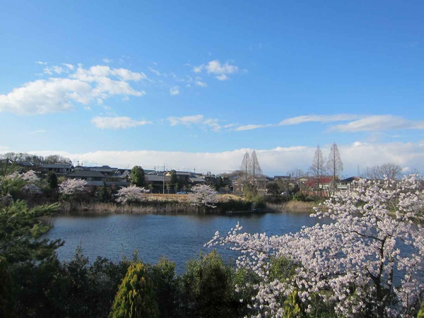 中登美ヶ丘2丁目 土地 現地からの眺望 中登美ヶ丘2丁目 土地 現地からの眺望