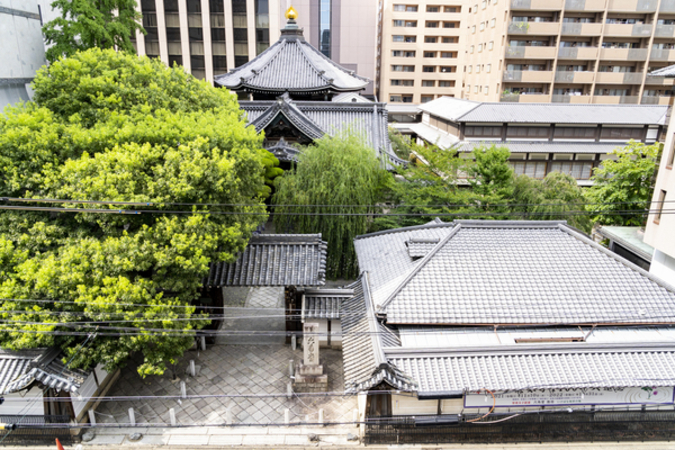プレミスト京都六角通堂之前町 リビングからの眺望 プレミスト京都六角通堂之前町 リビングからの眺望