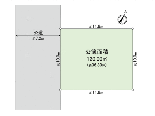 善福寺3丁目 土地 地形図 善福寺3丁目 土地 地形図