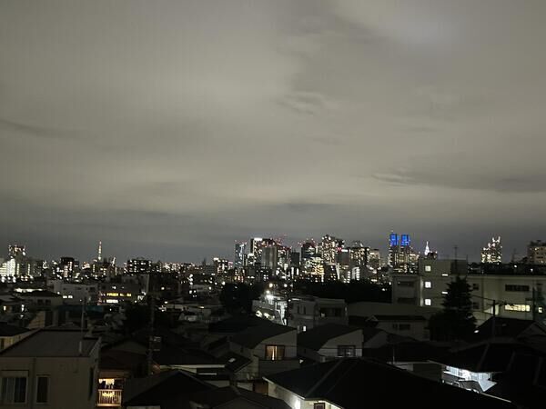ライオンズマンション高円寺南第2 バルコニーからの眺望(夜景) ライオンズマンション高円寺南第2 バルコニーからの眺望(夜景)