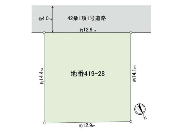 飯山満町2丁目 土地 地形図 飯山満町2丁目 土地 地形図