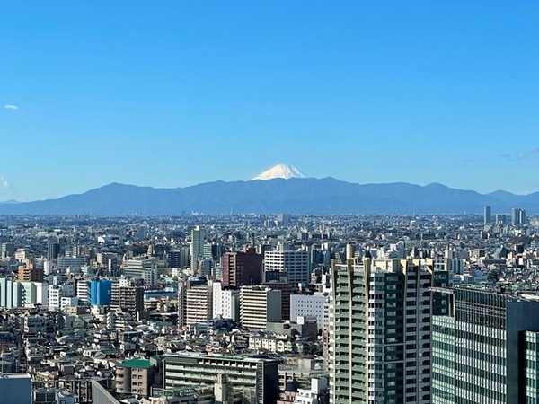 パークシティ大崎 ザ タワー 眺望 パークシティ大崎 ザ タワー 眺望