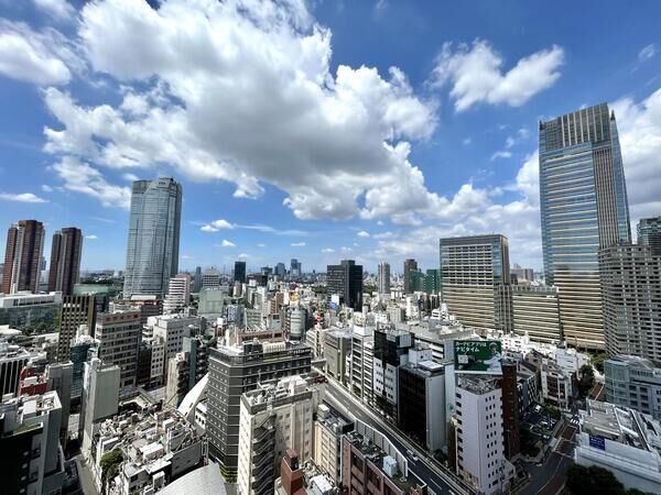 THE ROPPONGI TOKYO バルコニーからの眺望 THE ROPPONGI TOKYO バルコニーからの眺望